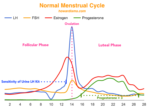 Ovulation and Luteal Phase Spotting : r/FAMnNFP